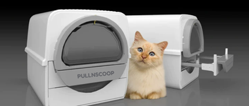 Pullnscoop Litter Box: The Future of Hassle-Free Litter Maintenance