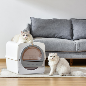 Pullnscoop Scoop-free Cat Litter Box