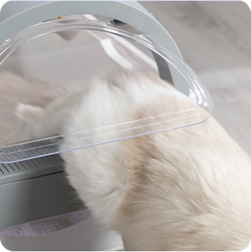 Pullnscoop Scoop-free Cat Litter Box