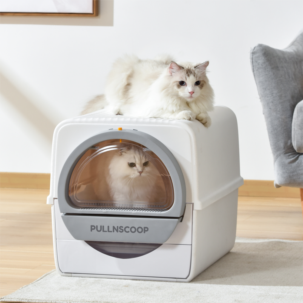 Pullnscoop Scoop-free Cat Litter Box