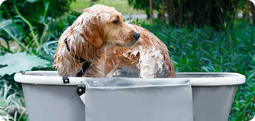FlexiBath Adjustable Pet Tub