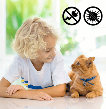 Safe & Family-Friendly