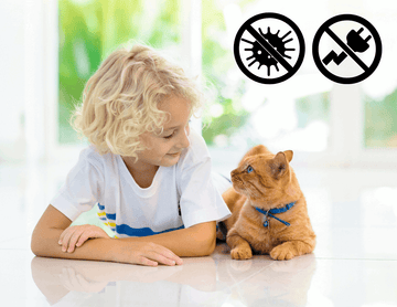 Safe & Family-Friendly