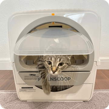 Pullnscoop Scoop-free Cat Litter Box