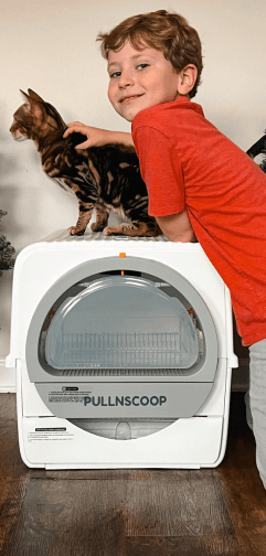pullnscoop litter box