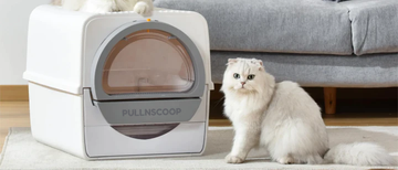 Types of Cat Litter Boxes