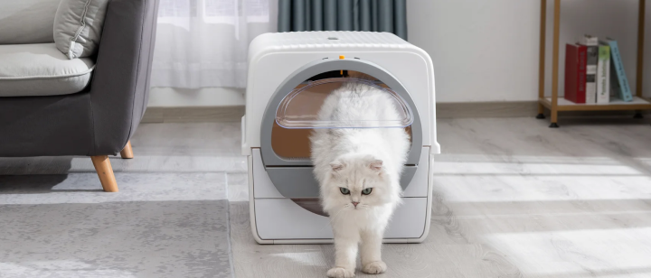 How to Help a Cat Use the Semi-Automatic Cat Litter Box?