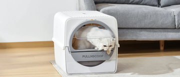 Reason Why You Should Buy PULLNSCOOP Cat Litter Box