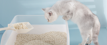 How to Control the Odor in Your Cat’s Litter Box?
