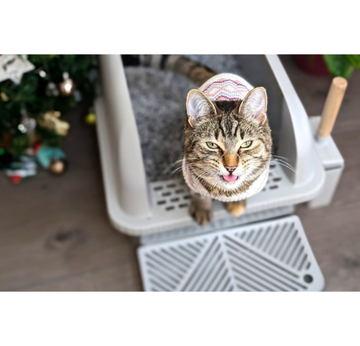 stainless litter box