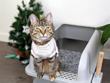 Stainless steel litter box placed in a stylish, clean home environment