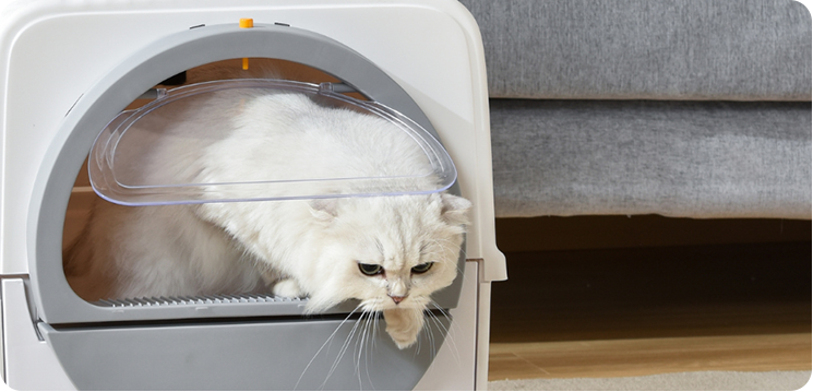 Pullnscoop Scoop-free Cat Litter Box
