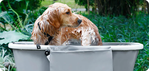 FlexiBath Adjustable Pet Tub