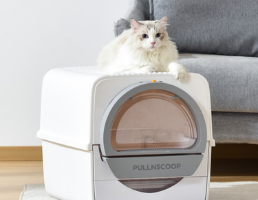 Pullnscoop Scoop-free Cat Litter Box