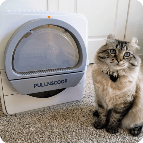 Pullnscoop Scoop-free Cat Litter Box
