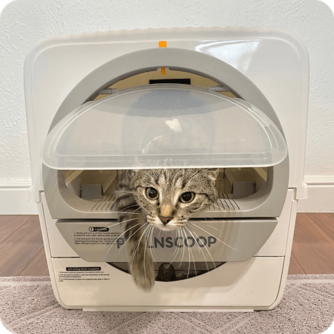 Pullnscoop Non-Electric Automatic Cat Litter Box Self Cleaning Large Space The Best Non-Scoop Non-electric Litter Box