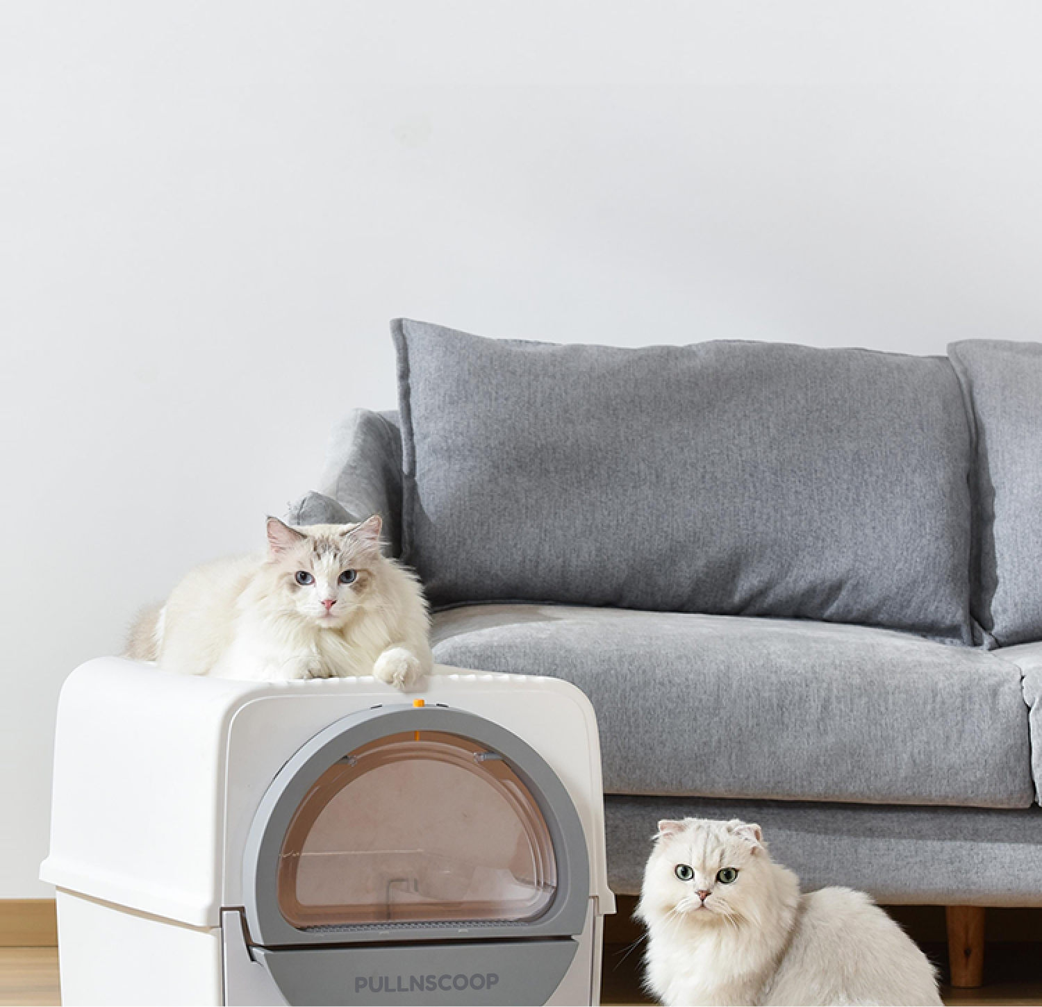 Pullnscoop Scoop-free Cat Litter Box